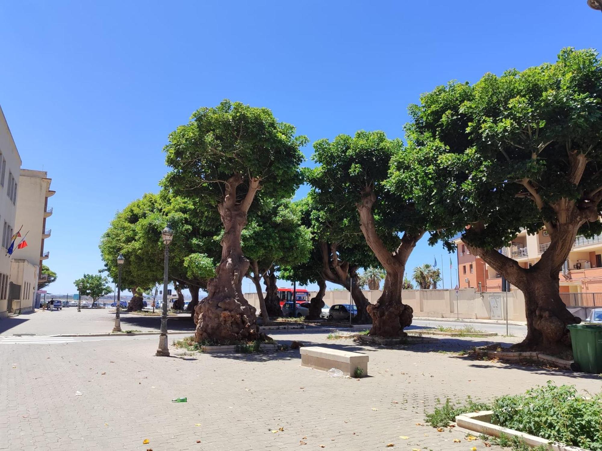Alla Marina Da Pina Trapani Eksteriør billede