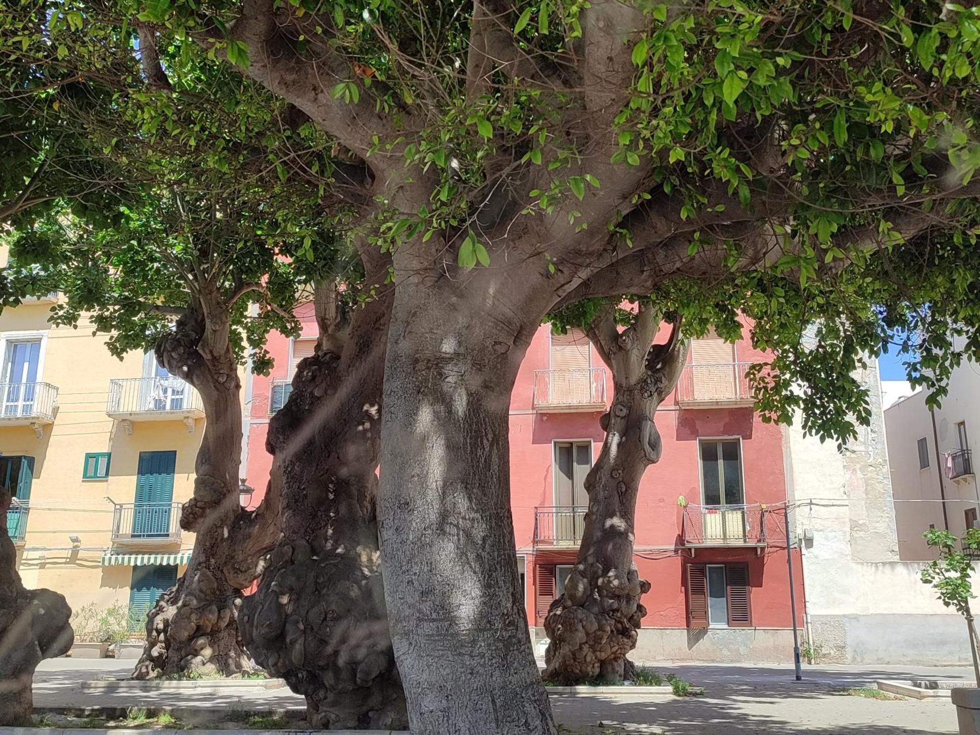Alla Marina Da Pina Trapani Eksteriør billede
